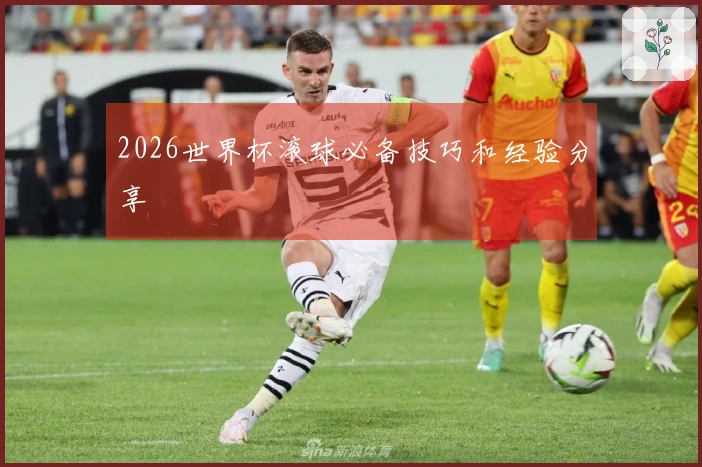 2026世界杯滚球必备技巧和经验分享
