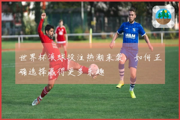 世界杯滚球投注热潮来袭，如何正确选择赢得更多乐趣