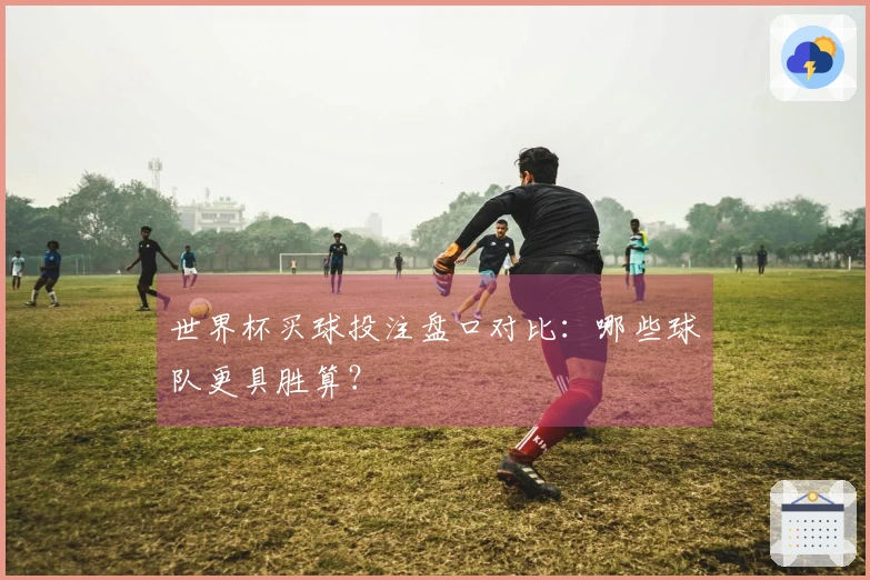 世界杯买球投注盘口对比：哪些球队更具胜算？