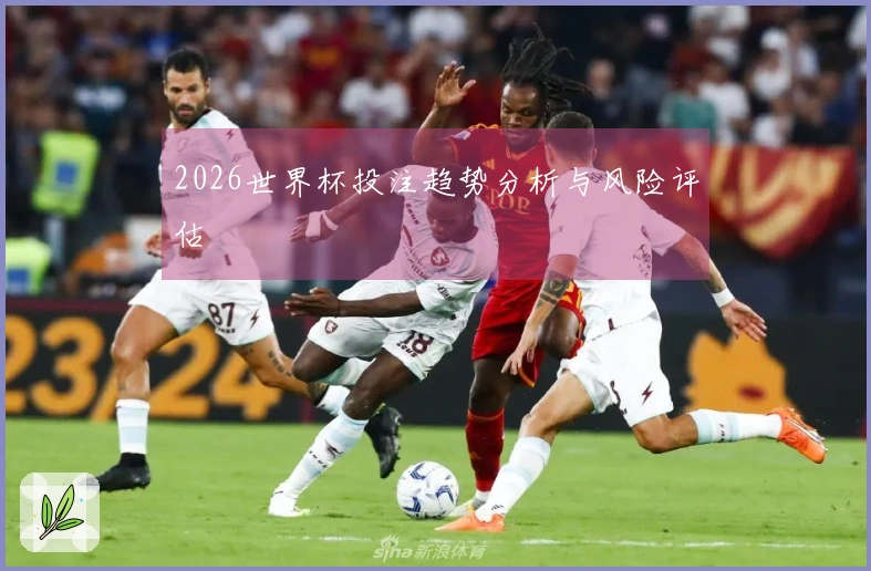 2026世界杯投注趋势分析与风险评估