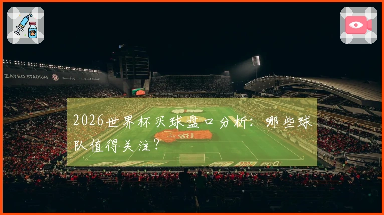 2026世界杯买球盘口分析：哪些球队值得关注？