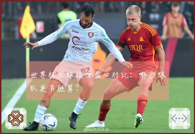 世界杯买球投注盘口对比：哪些球队更具胜算？