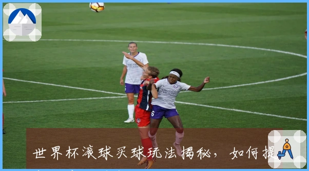 世界杯滚球买球玩法揭秘，如何提高胜率和乐趣