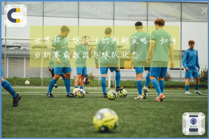 世界杯买球投注的判断策略：如何分析赛前数据与球队状态