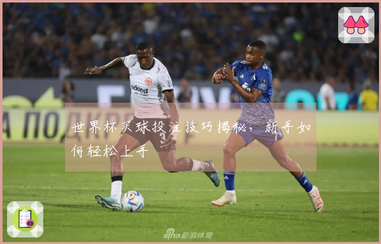 世界杯买球投注技巧揭秘，新手如何轻松上手